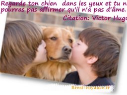 chien et bisou